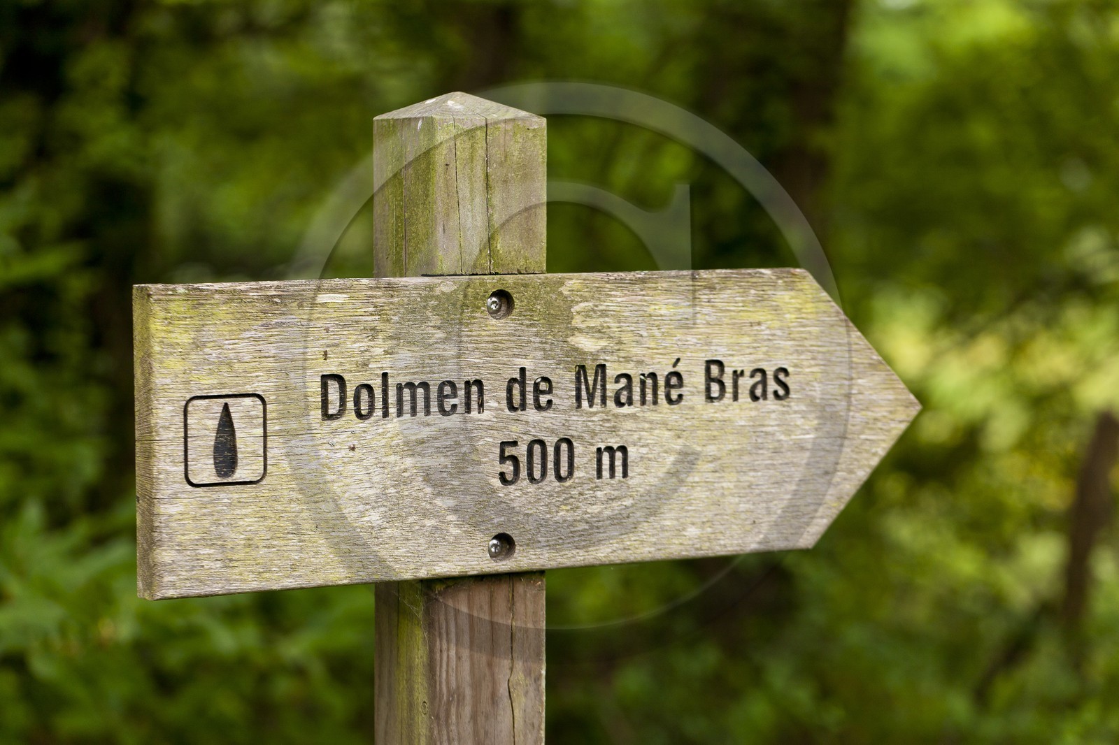 Le dolmen de Mane Bras _ la Trinite sur mer.