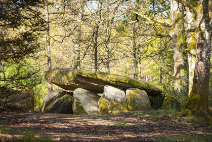 The dolmen of the Lodge with the wolf in Trédion