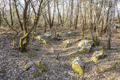 Le site mégalithique Le Castellic à Carnac