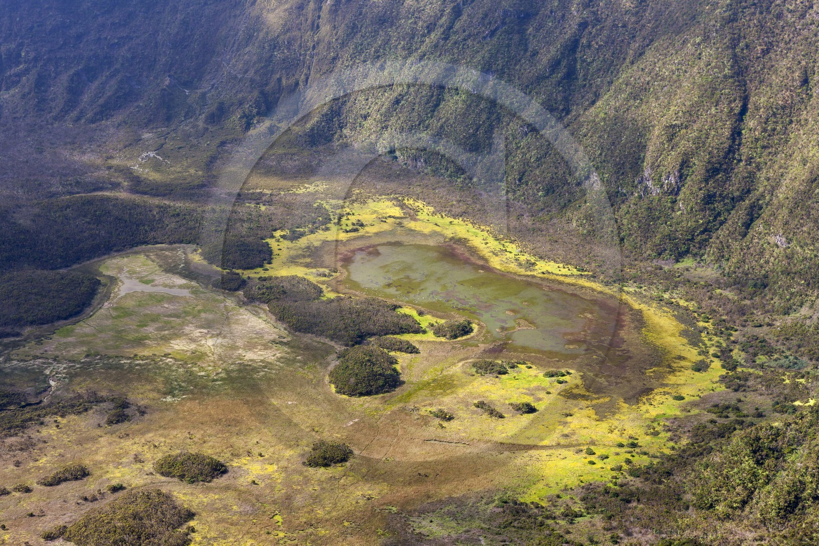 Caldeira de Faial _ les Açores Caldeira de Faial _ les Açores