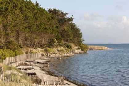 La plage du Poulbert _ La Trinite sur Mer