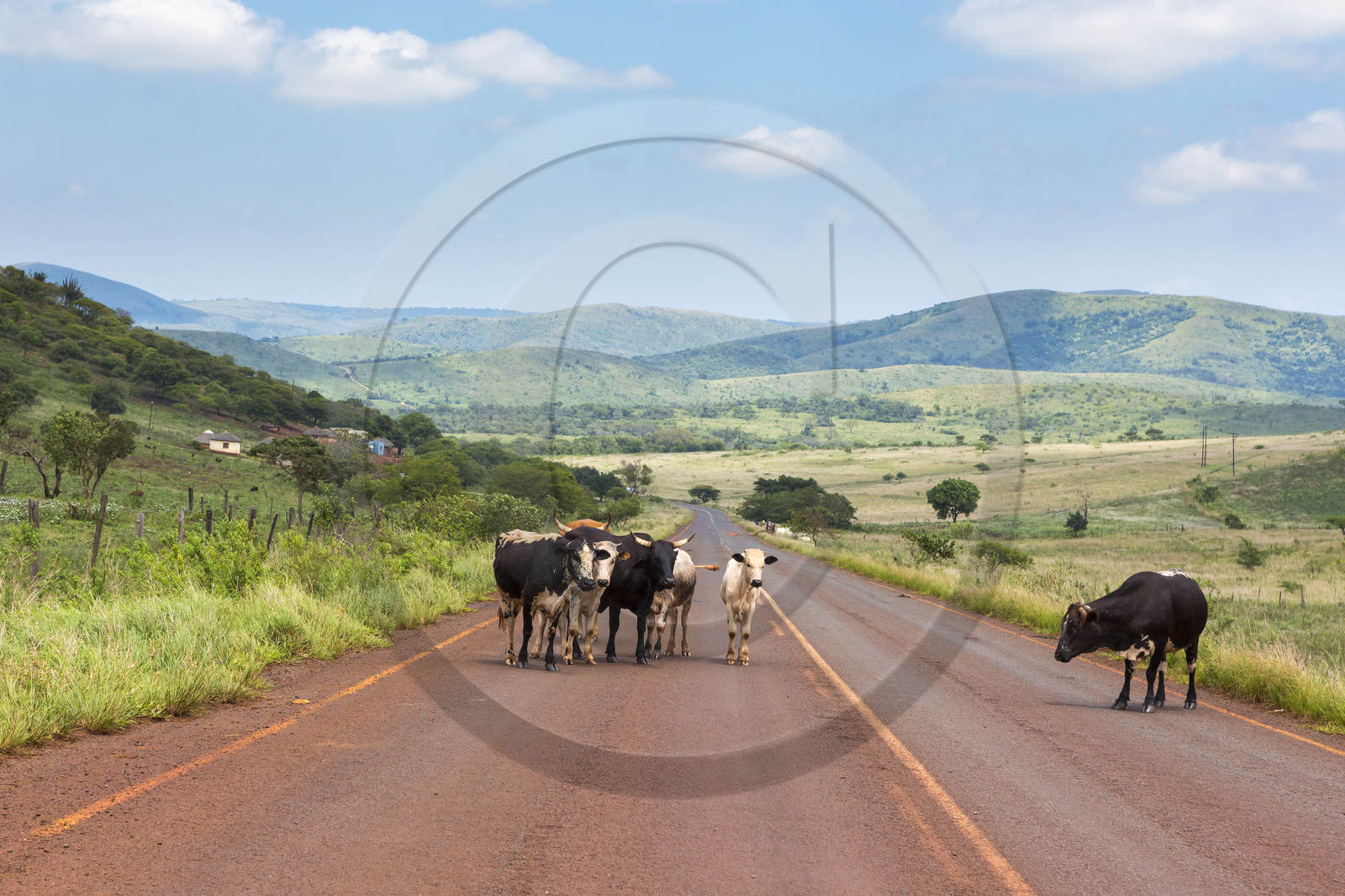 Paysage d'Eswatini ( Swaziland ) Paysage d'Eswatini ( Swaziland )