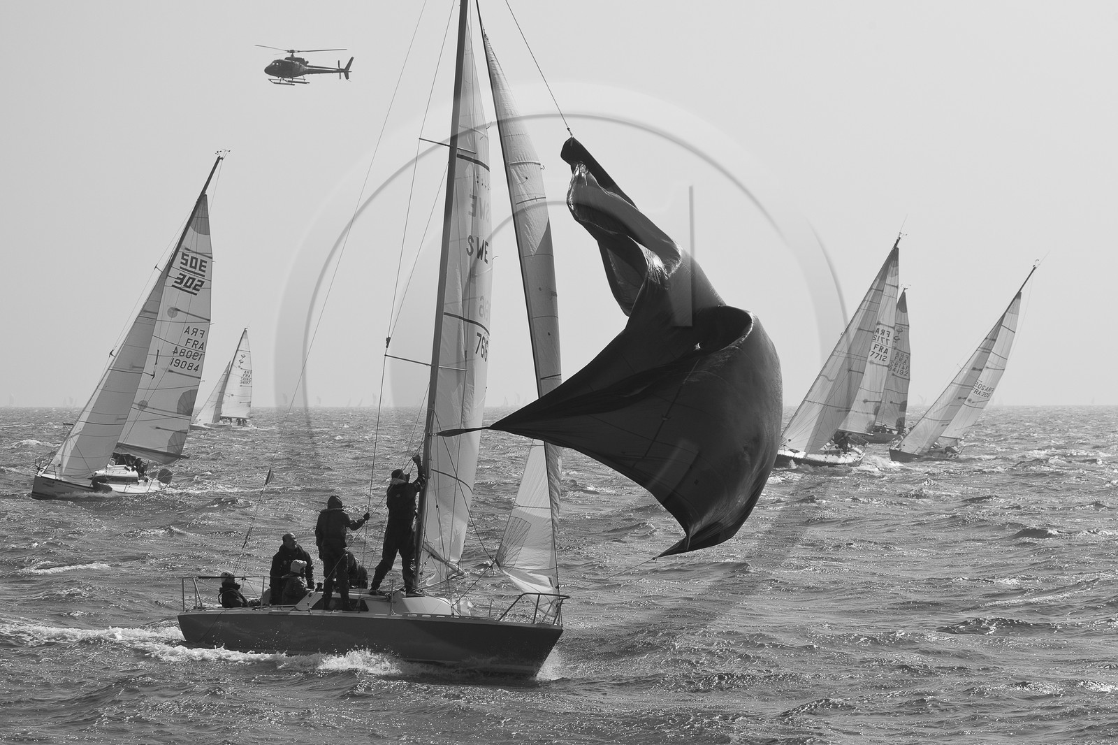 Spi Ouest-France _ La Trinite-sur-Mer Spi Ouest-France _ La Trinite-sur-Mer