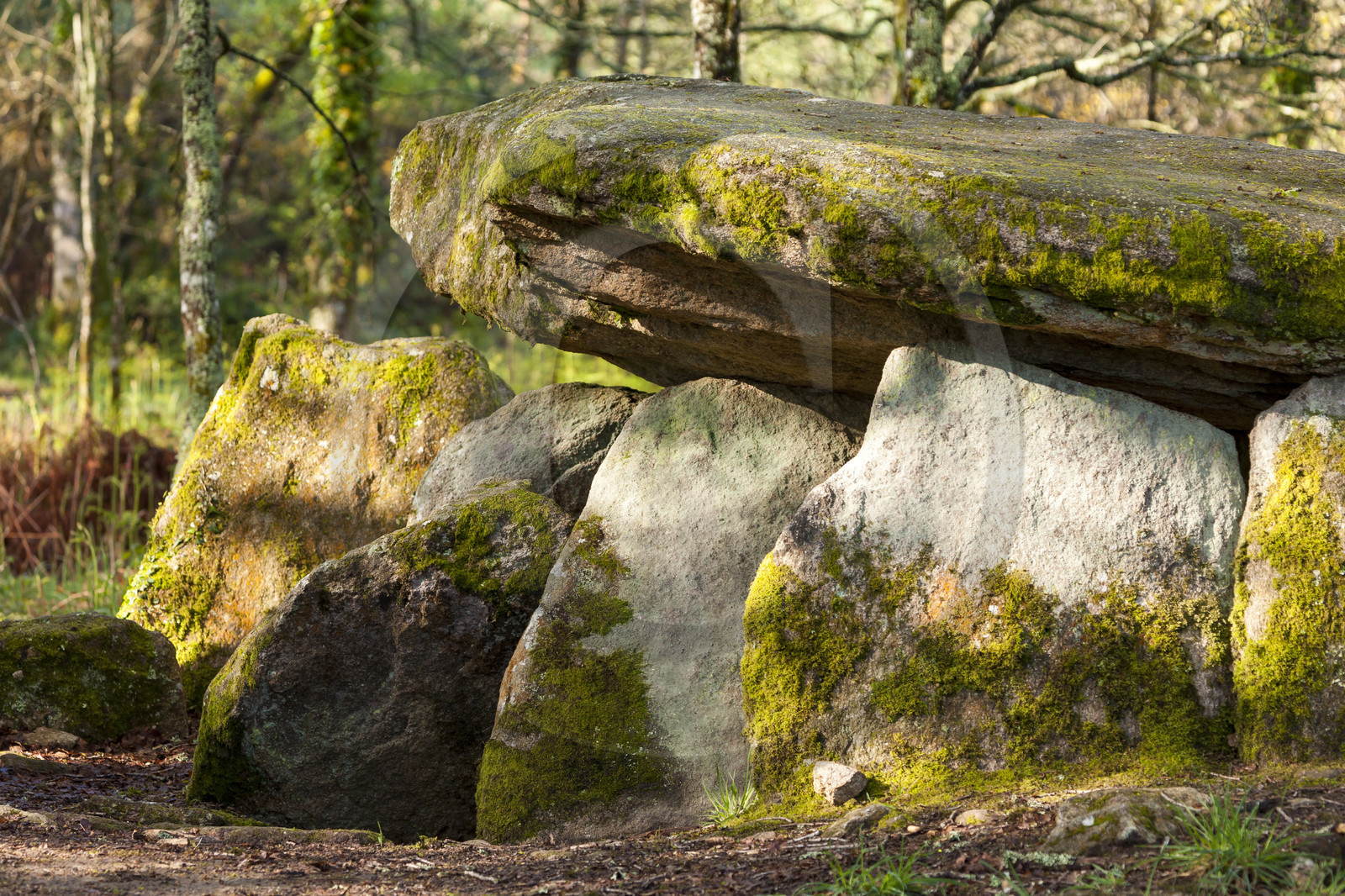 The dolmen of the Lodge with the wolf in Trédion