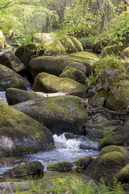 The Argent river in Huelgoat