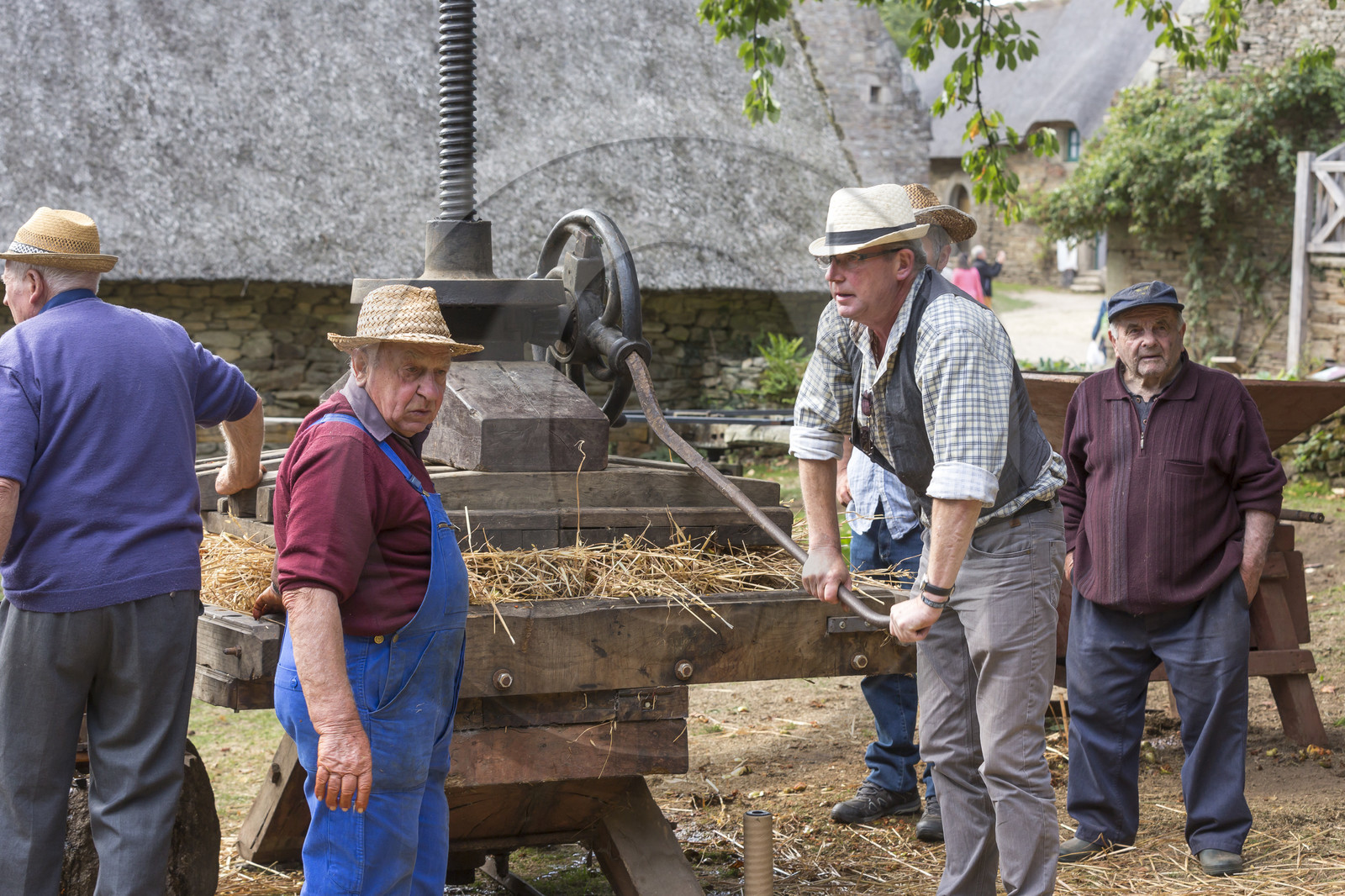 2016_Fête du cidre dans le village de Poul Fétan. Quistinic dans le Morbihan 2016_Fête du cidre dans le village de Poul Fétan. Quistinic dans le Morbihan
