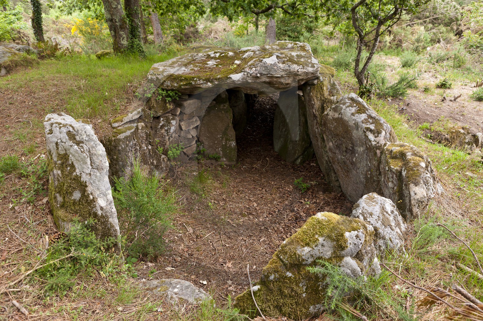 Le dolmen de Mane Bras _ la Trinite sur mer. Le dolmen de Mane Bras _ la Trinite sur mer.