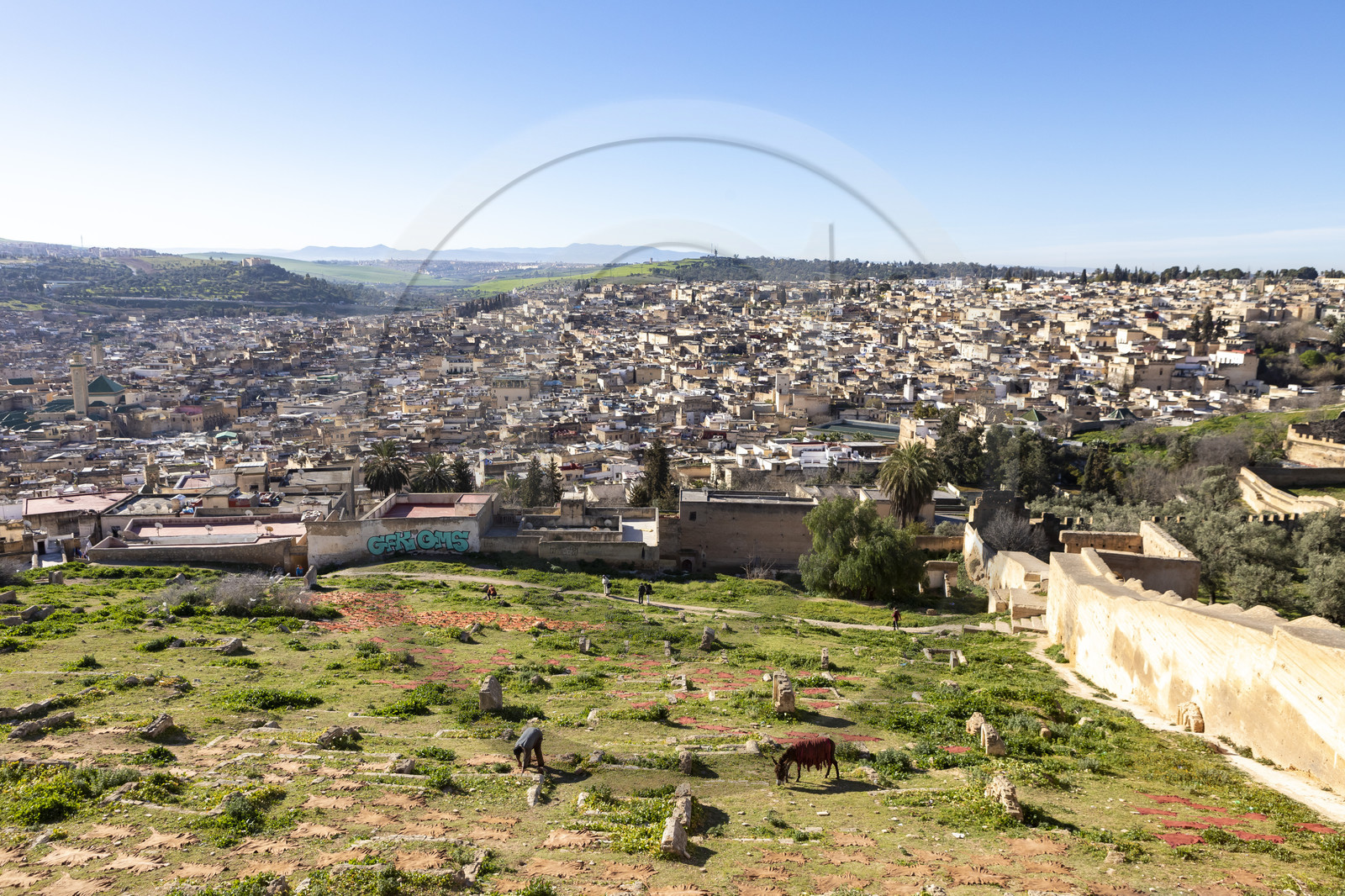 Vue sur la Médina de Fès au Maroc