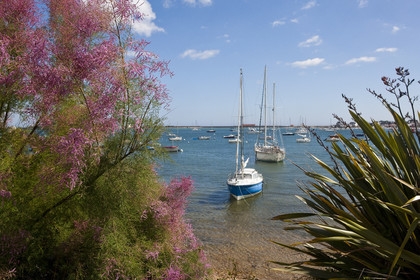 Port de Locmalo _ Port-Louis