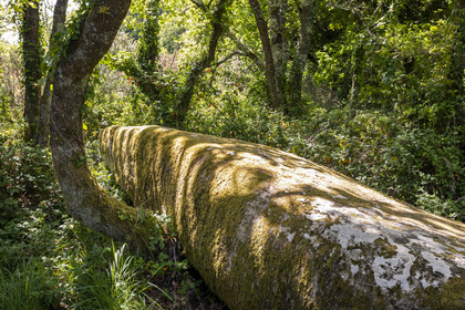 Dolmen de Men Hiaul (Kerblay) à Sarzeau