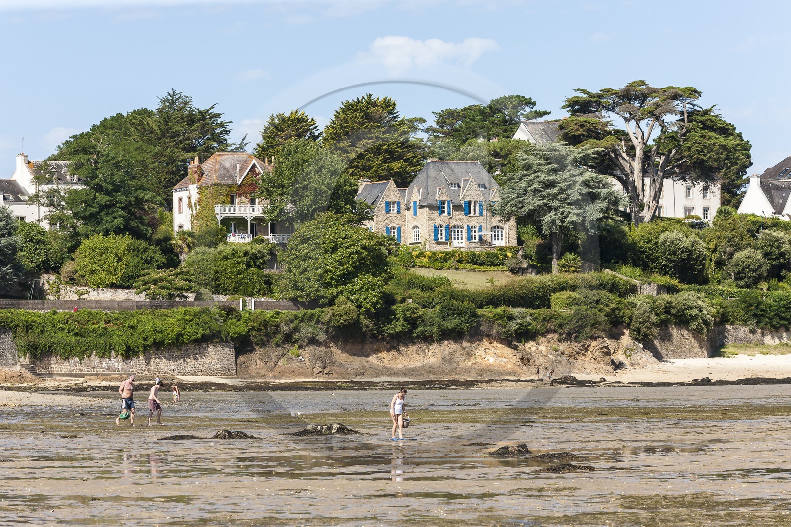 La plage du port _ la Trinite sur Mer La plage du port _ la Trinite sur Mer
