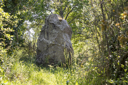 menhir de Men er Palud _ Saint-Gildas-de-Rhuys