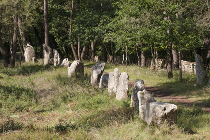 Alignements du Petit Menec _ La Trinite sur Mer