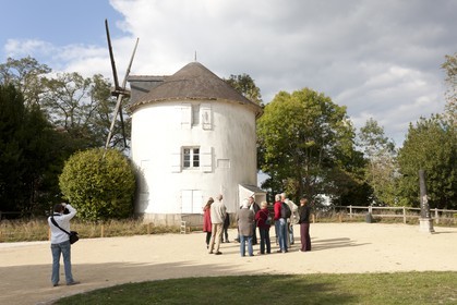 Moulin de la colline Faouedic _ Lorient