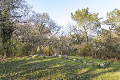 Le site mégalithiques de Mané Roulad à Ploemel