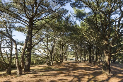 Anse de Kerdual _ La Trinite sur Mer