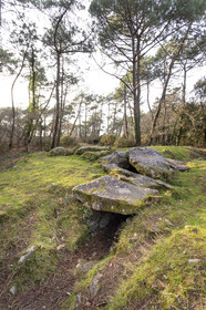 The Mané-Ven-Guen or Toulvern dolmen located in Baden