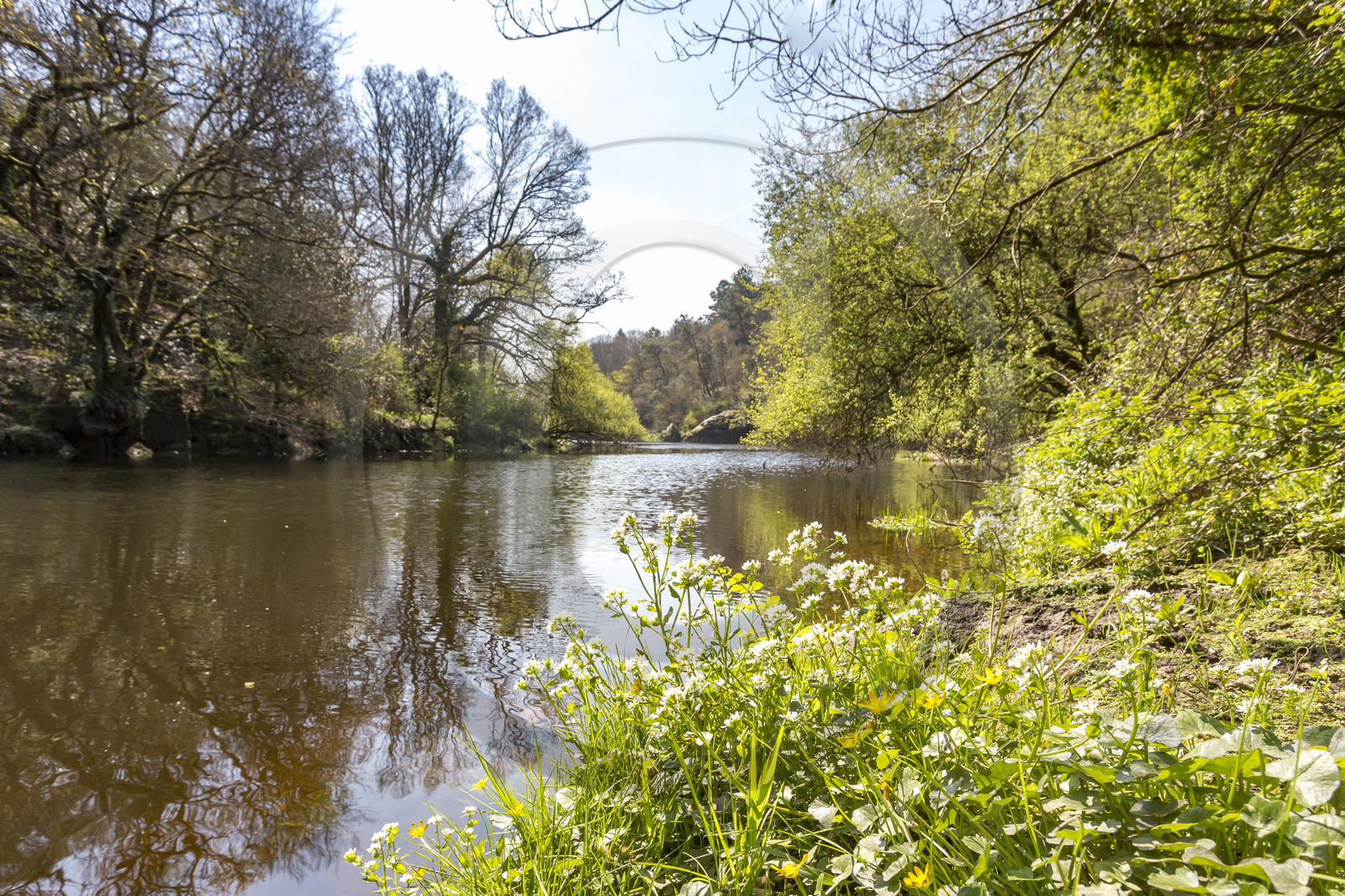 Paysage en bordure du Scorff. Pont-Scorff