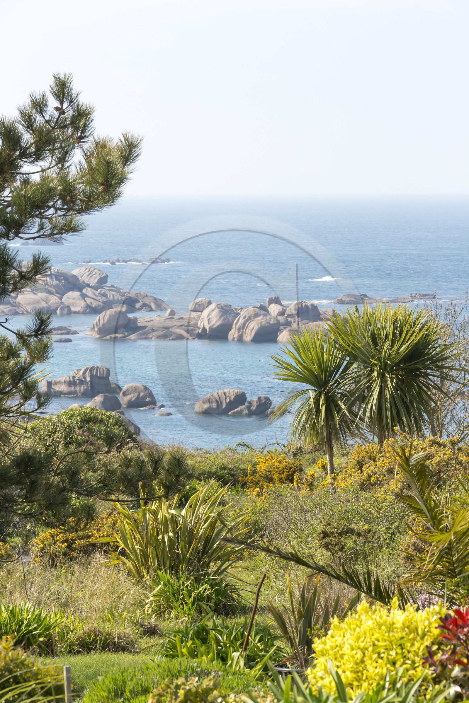 Panorama on the coast of Tregastel