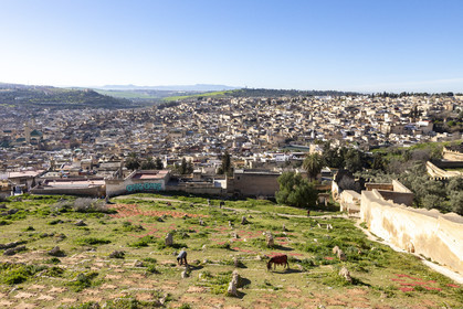 View of the Medina of Fez in Marocco