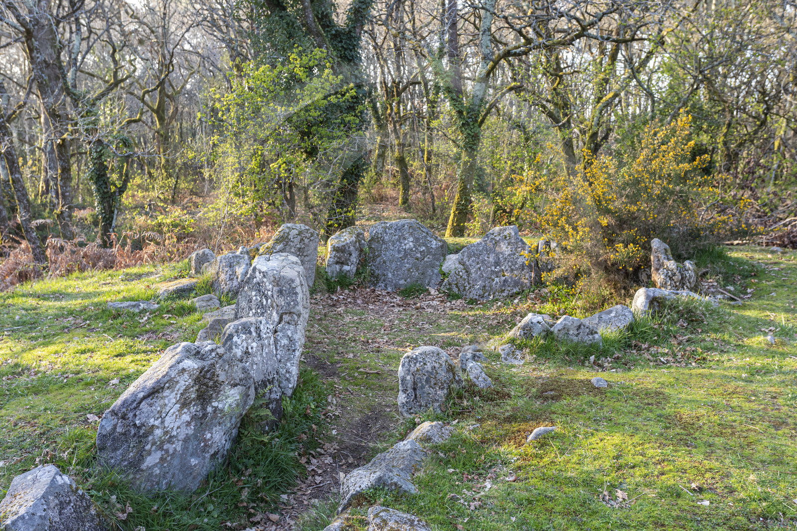 Le site mégalithiques de Mané Bogad à Ploemel