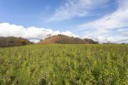 Tumulus of Tumiac in Arzon