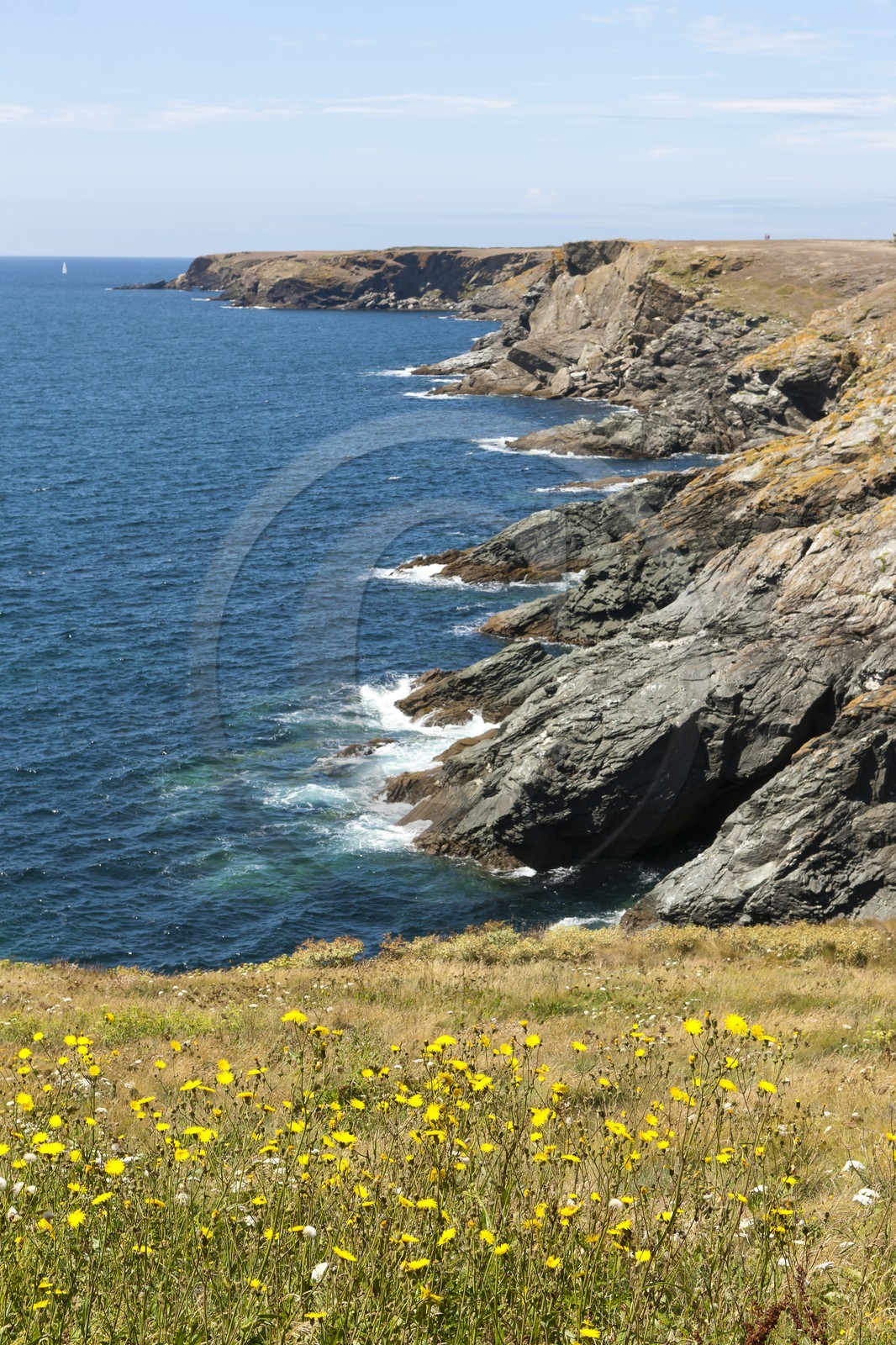 Cote sauvage _ Ile de Groix