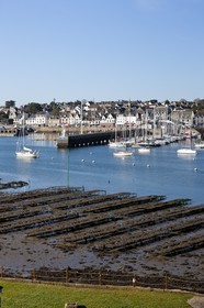 Le port de la Trinite sur Mer