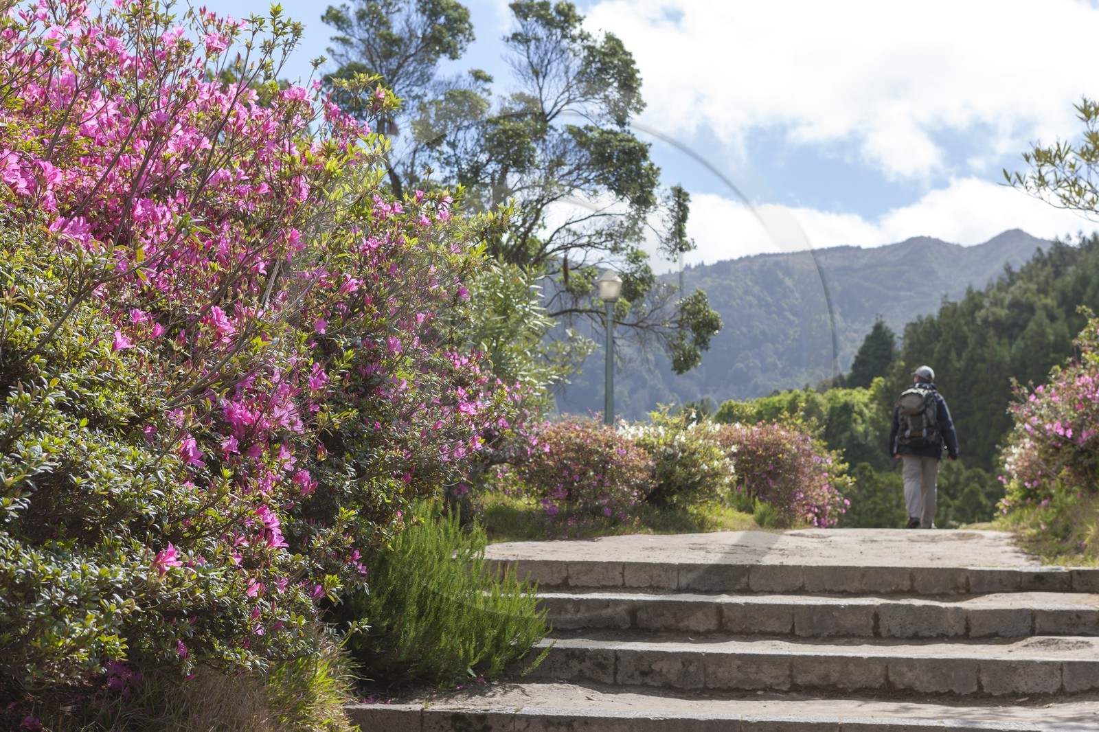 Jardin _ Furnas Jardin _ Furnas