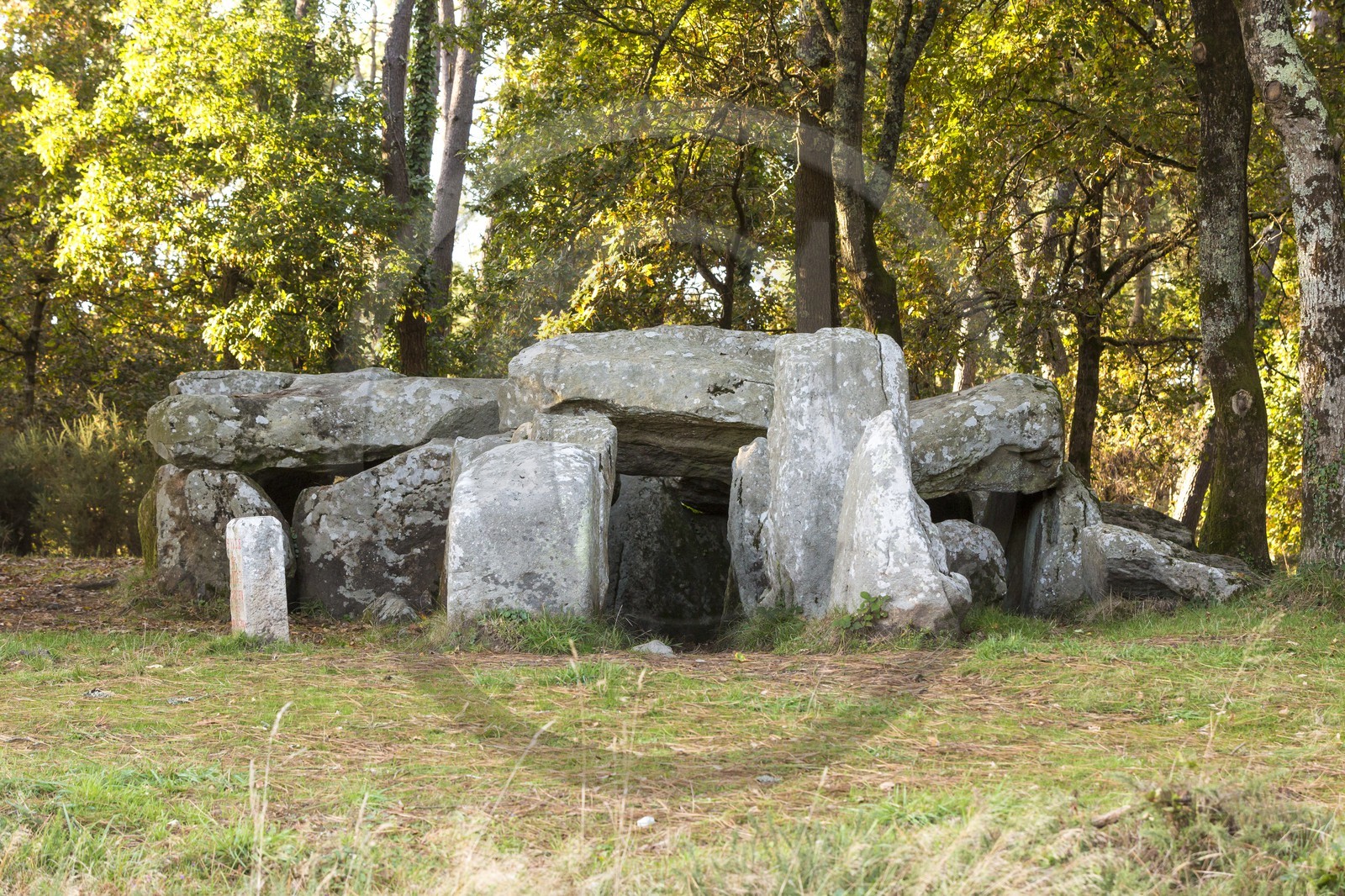 Le dolmen de Mané Groh _ Erdeven