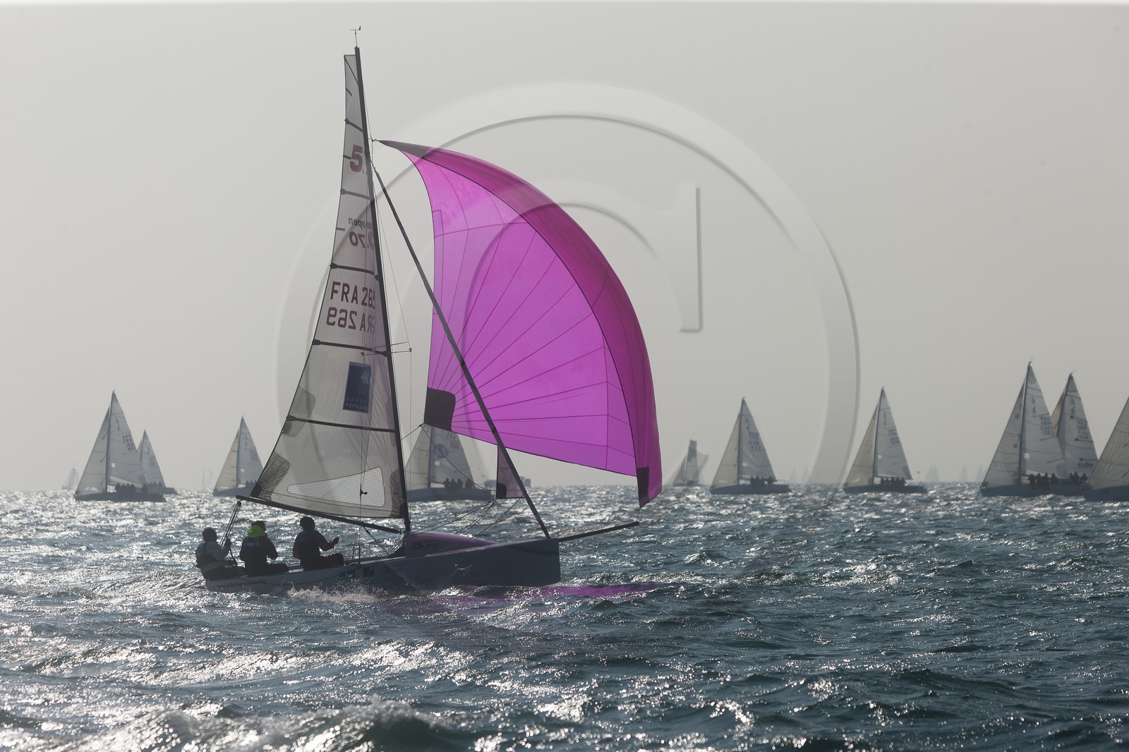 Spi Ouest-France _ La Trinite-sur-Mer Spi Ouest-France _ La Trinite-sur-Mer