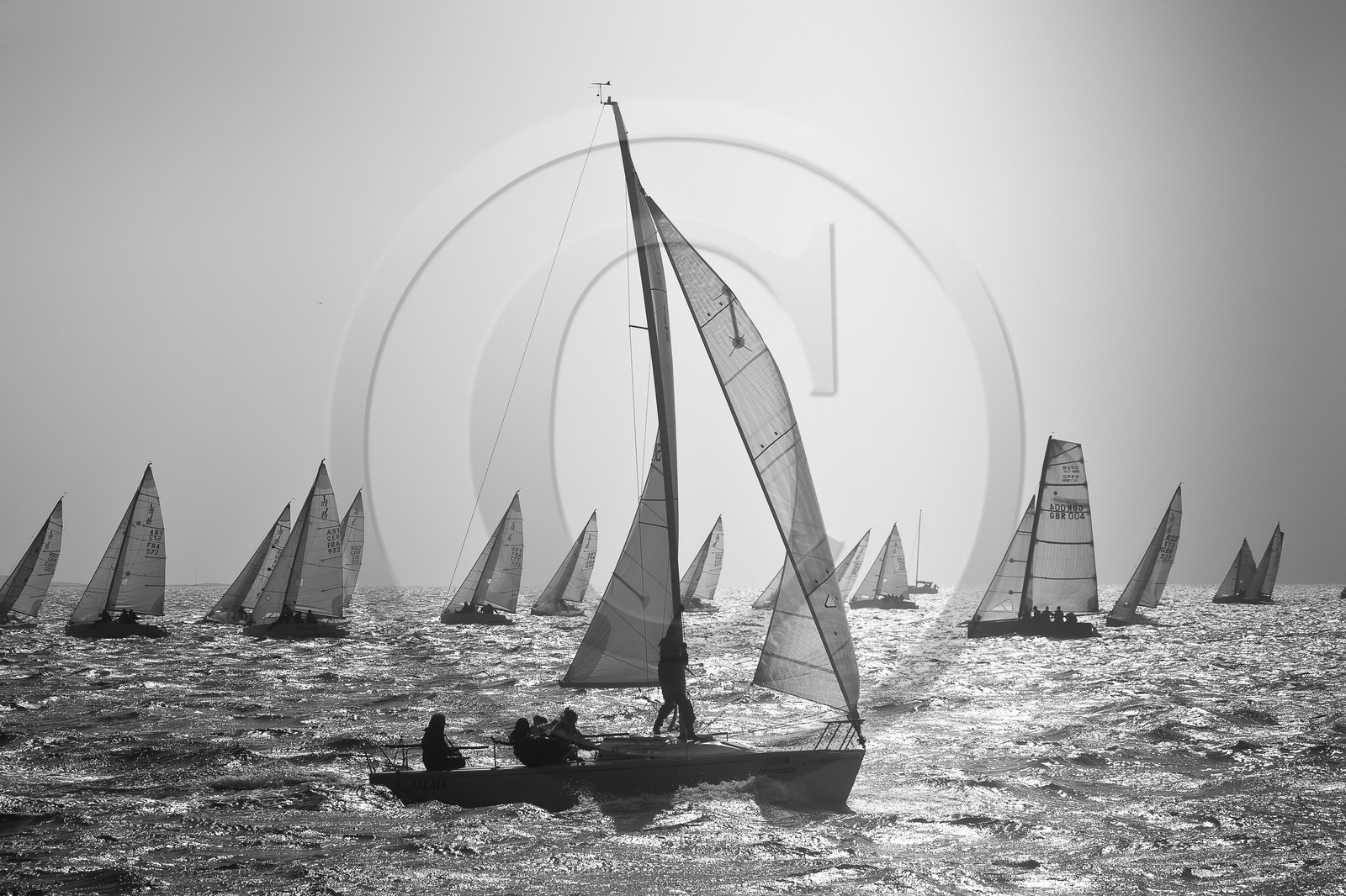 Spi Ouest-France _ La Trinite-sur-Mer Spi Ouest-France _ La Trinite-sur-Mer