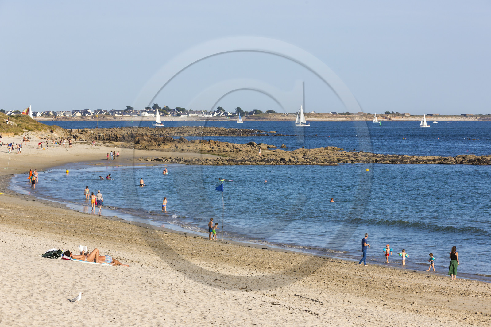 Plage de Kerguelen _ les roseaux à Larmor-Plage Plage de Kerguelen _ les roseaux à Larmor-Plage