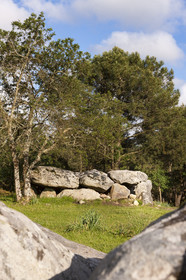 The dolmens of Mané-Bras in Erdeven