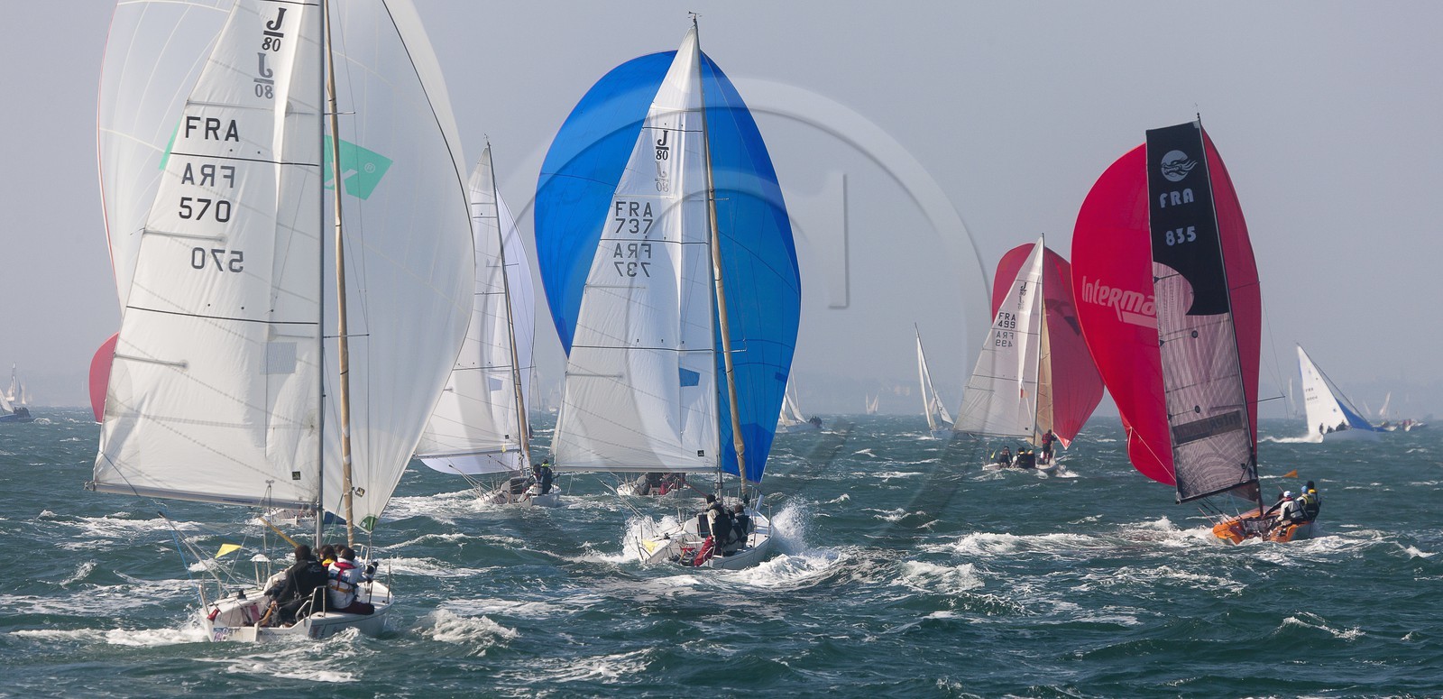 Spi Ouest-France _ La Trinite-sur-Mer Spi Ouest-France _ La Trinite-sur-Mer