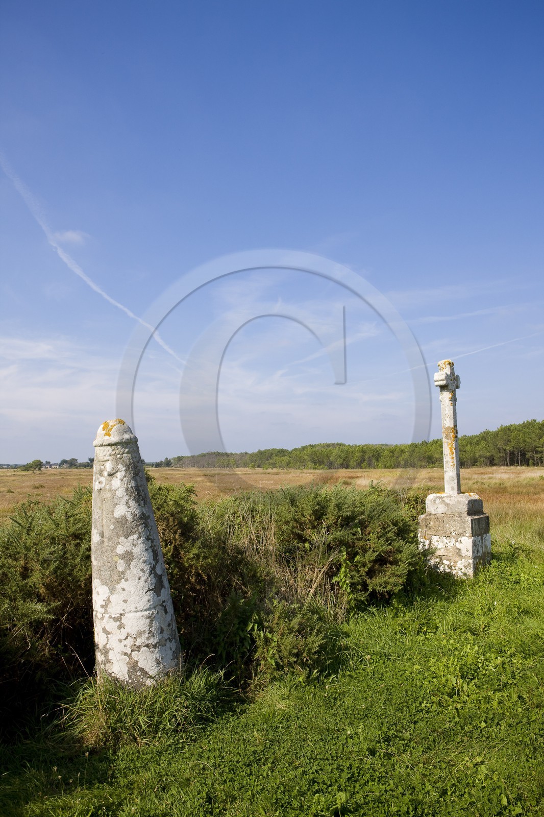 Stele of Prostlon _ Locoal-Mendon Stele of Prostlon _ Locoal-Mendon