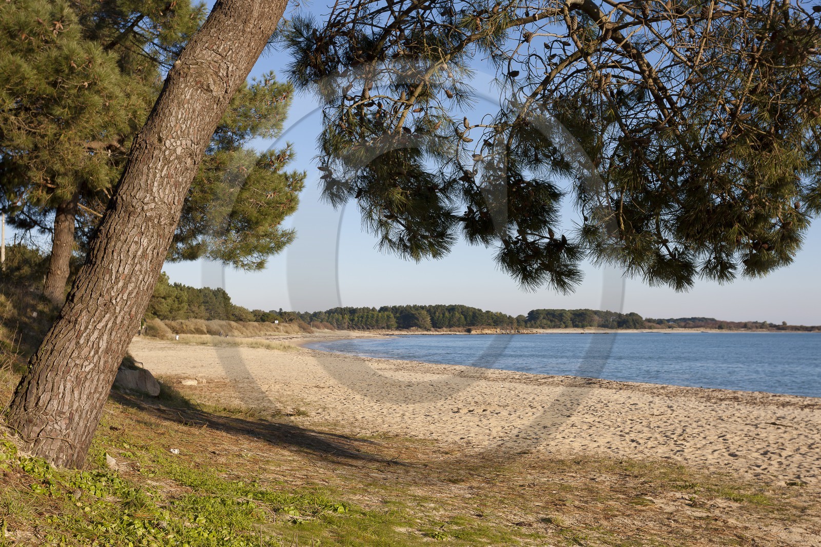 La plage du Men-Du _ La Trinité sur mer La plage du Men-Du _ La Trinité sur mer