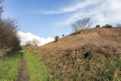 Tumulus of Tumiac in Arzon
