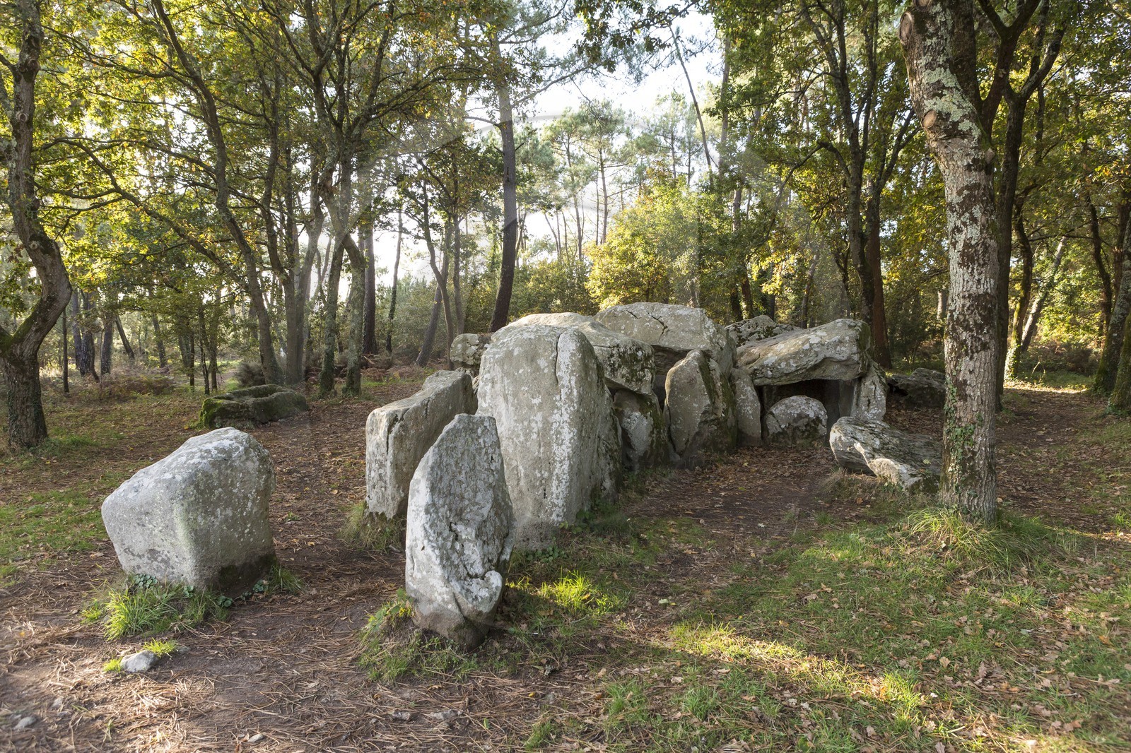 Le dolmen de Mané Groh _ Erdeven