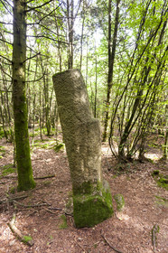 Menhir of Babouine in Trédion