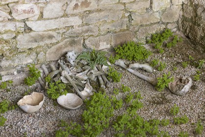 Ossuary_Plélan le petit