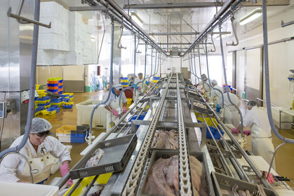 Atelier de mareyage  Chalut des deux ports  .Port de Keroman à Lorient.