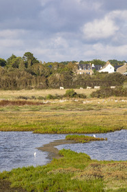 Etang du Moulin du Lac à Carnac