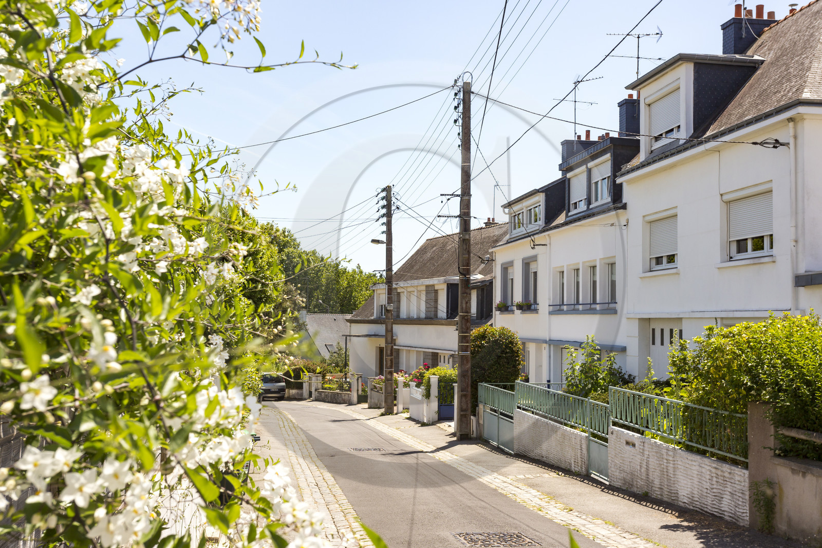 Immobilier Lorient