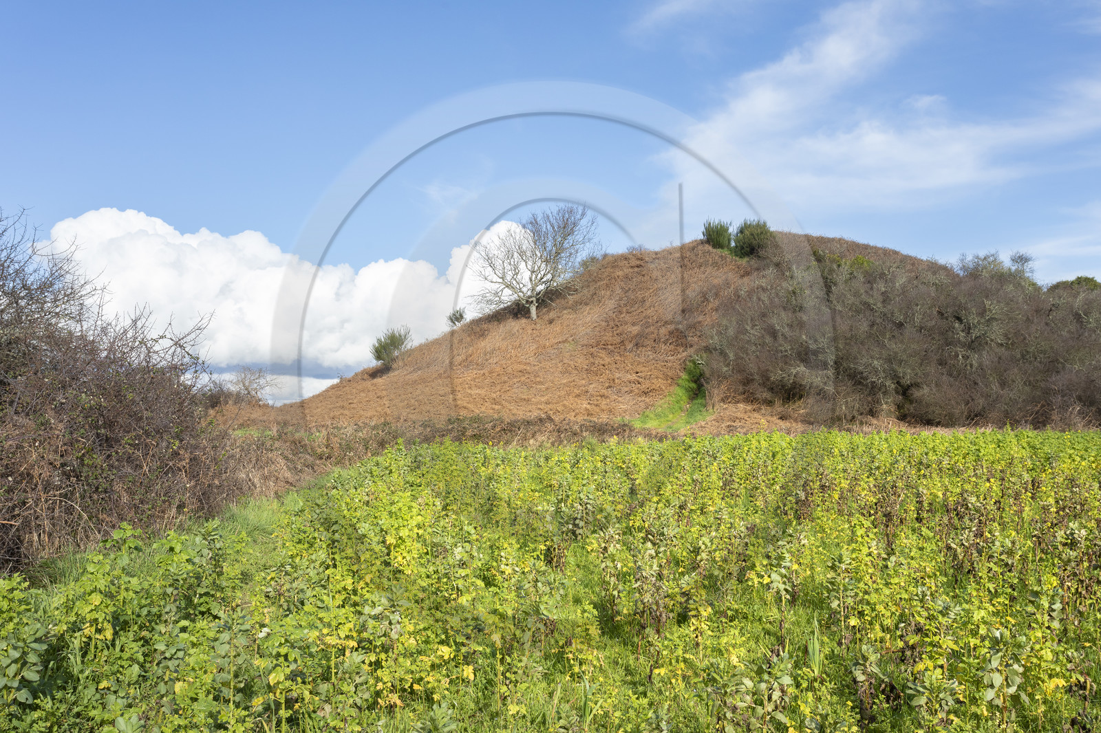 Tumulus of Tumiac in Arzon