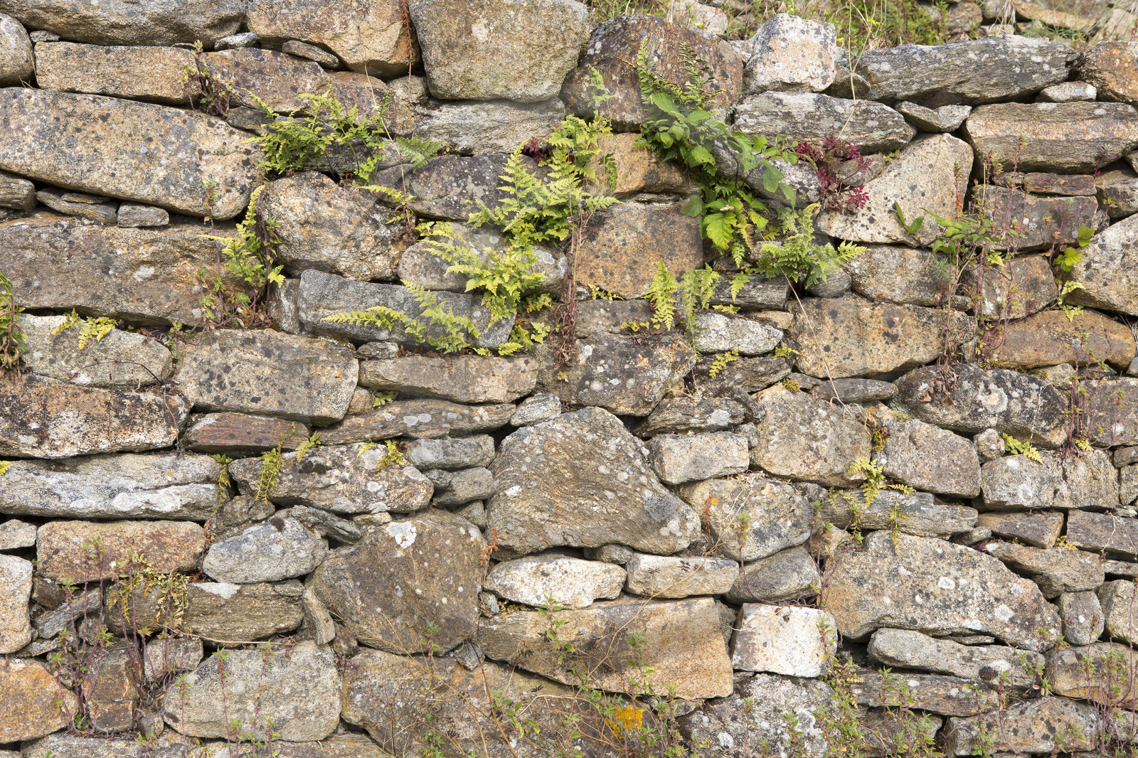 Le cairn du Petit Mont _ Arzon Le cairn du Petit Mont _ Arzon