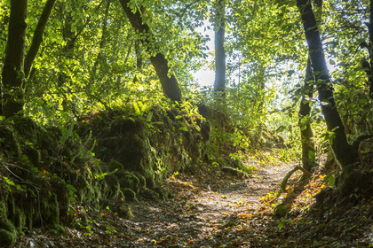 Brandifout Valley _ Bubry