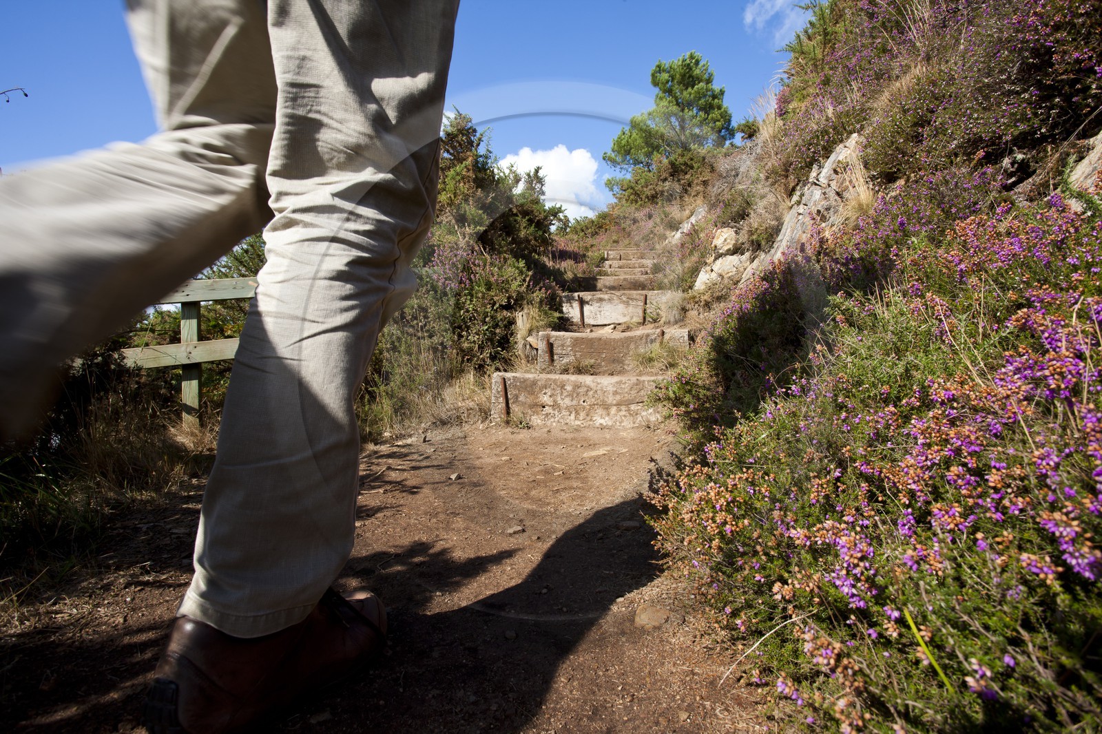 Sentier pedestre en bordure de la Laita_Guidel