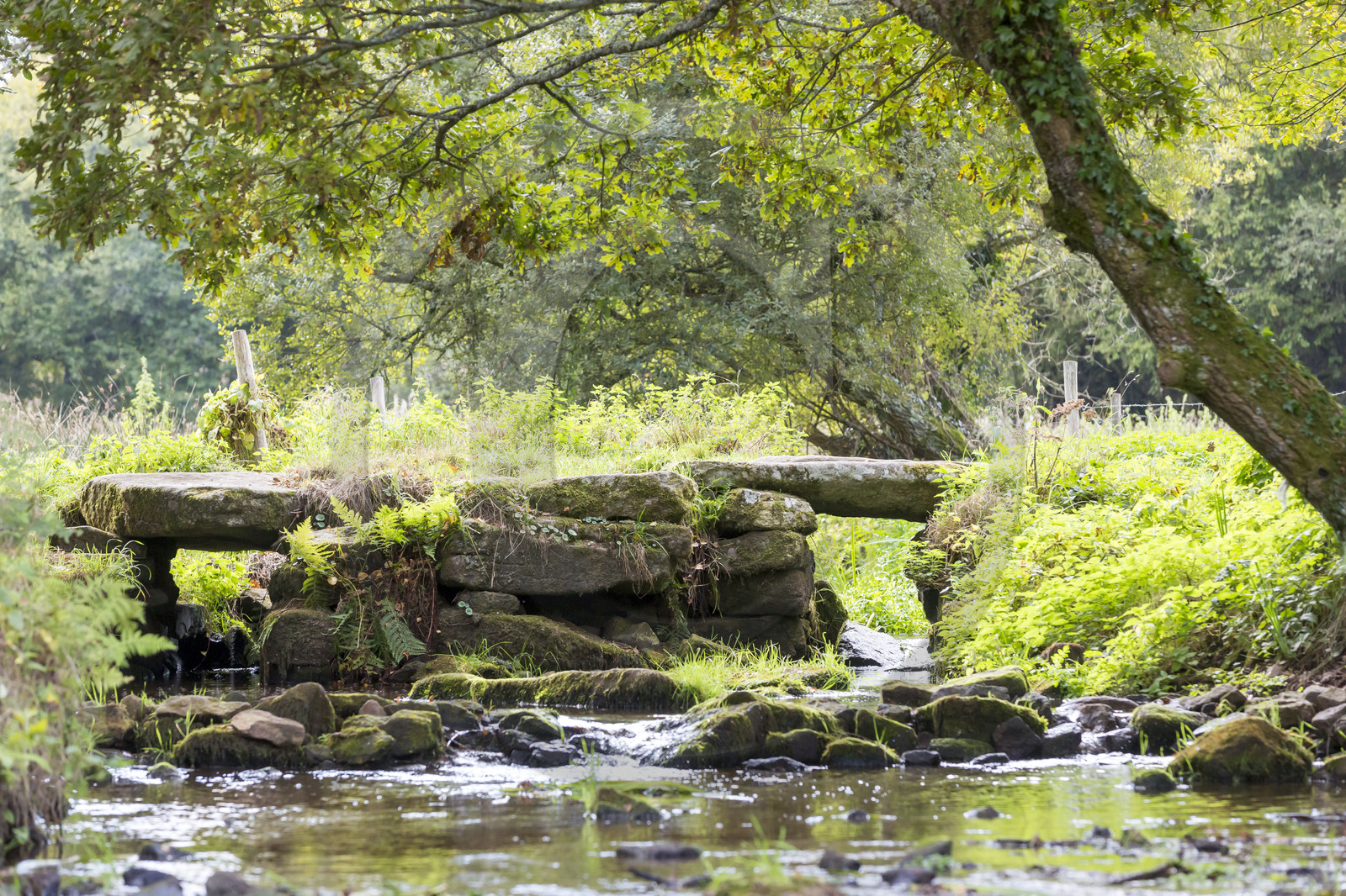 Ruisseau du Brandifout_Bubry Ruisseau du Brandifout_Bubry
