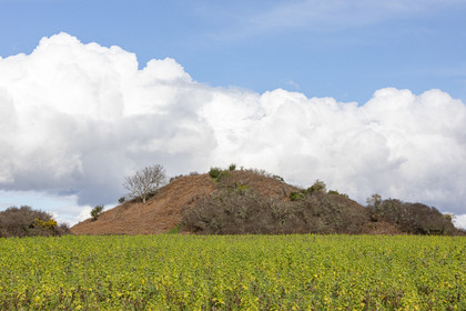 Tumulus of Tumiac in Arzon